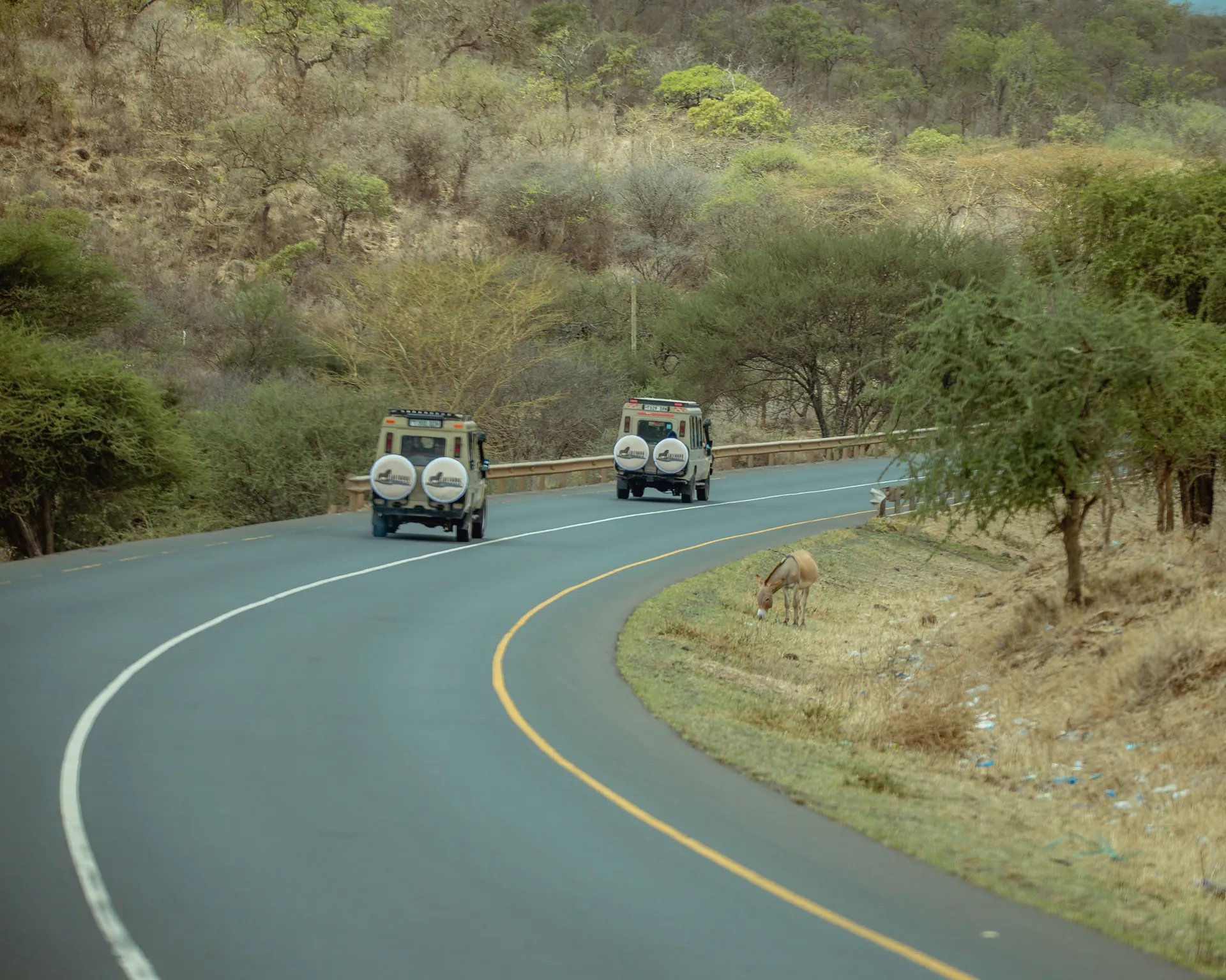 Safari vehicle travelling through a Tanzania wildlife area